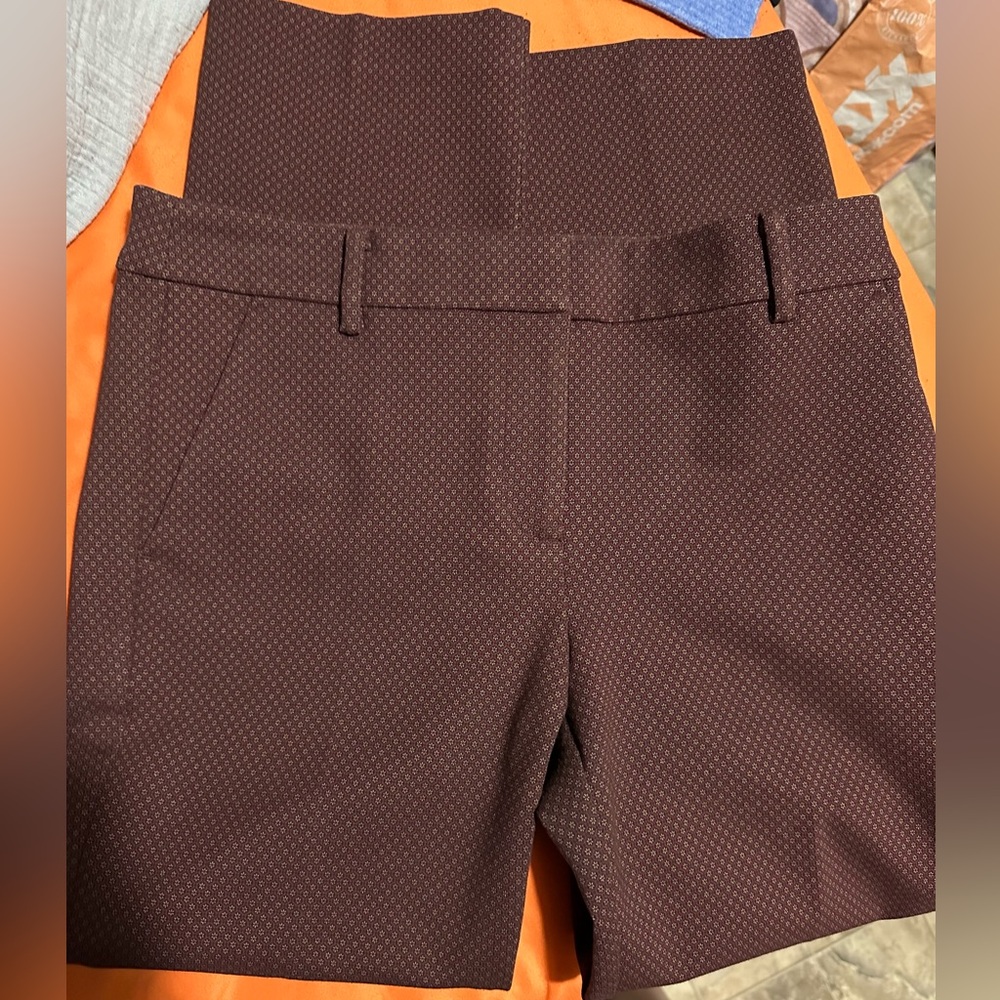 Women”s Loft Rivera pant